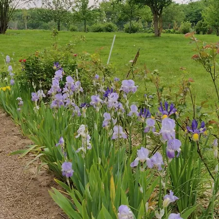 Дом отдыха Chaumiere D'albatre - Gite-entre Terre Et Ourville-en-Caux